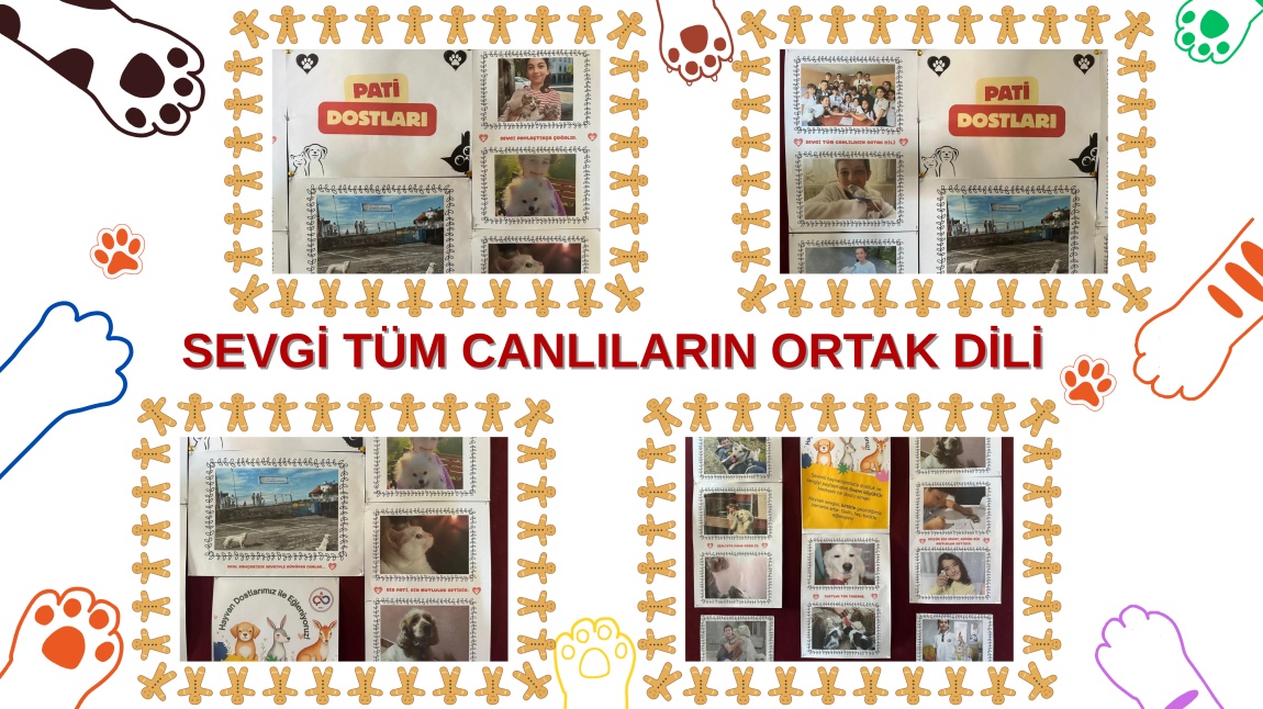 Sevgi Tüm Canlıların Ortak Dili